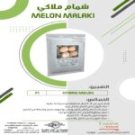 شمام ملاكي
