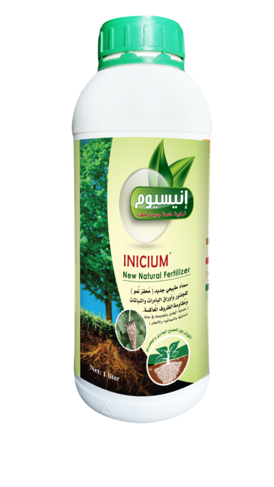إنيسيوم   -  INICIUM