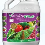VENATTOفيناتو -