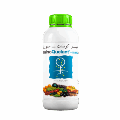 AMINO QUELANT MINORSأمينو كويلنت مينورز