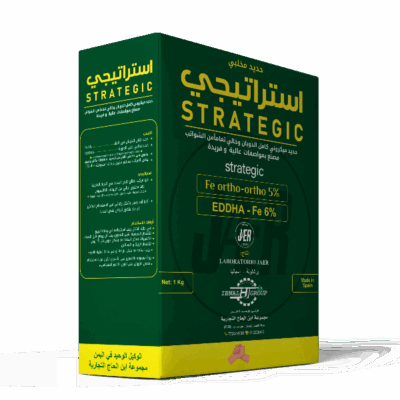 استراتيجي