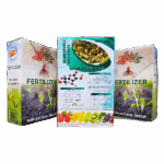 كالوم انرجي ايداها KELOM ENERGIC EDDHA