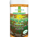 GREEN ROOTجرين روت
