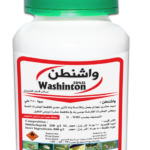 WASHINTON واشنطن