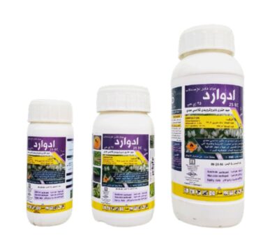 ادوارد