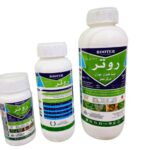 روتر