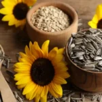 بذور دوار الشمس