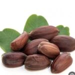 بذور الجوجوبا